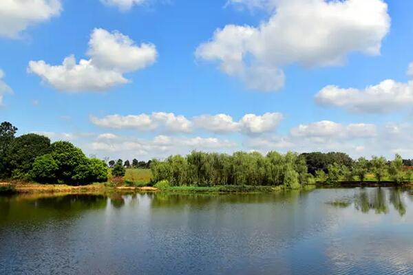 徐州:“專題監(jiān)督”凝眸“青綠”共識(shí)共治共護(hù)碧水藍(lán)天 徐州:“專題監(jiān)督”凝眸“青綠”共識(shí)共治共護(hù)碧水藍(lán)天