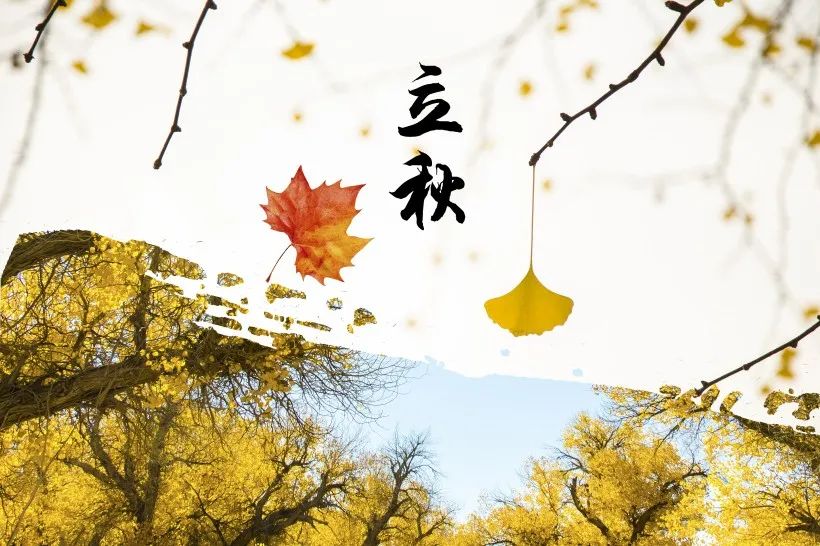 落葉知秋-新月涂裝祝您立秋快樂! 落葉知秋-新月涂裝祝您立秋快樂!